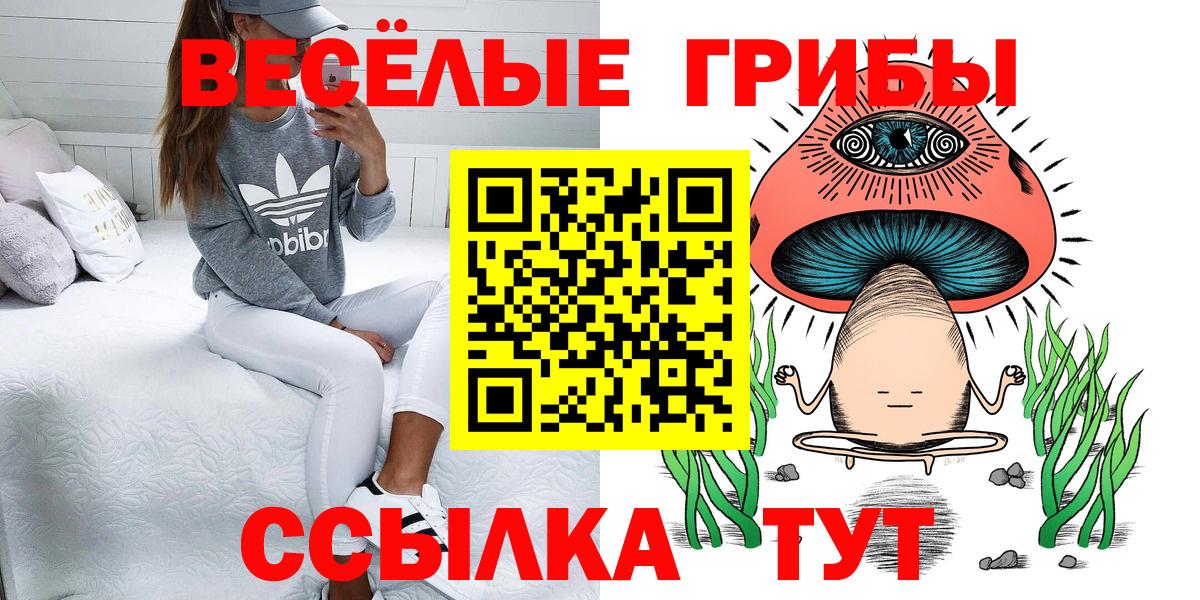 Псилоцибиновые грибы GOLDEN TEACHER  Псилоцибиновые грибы Psilocybe  наркотики  Ставрополь  Вход с VPN 