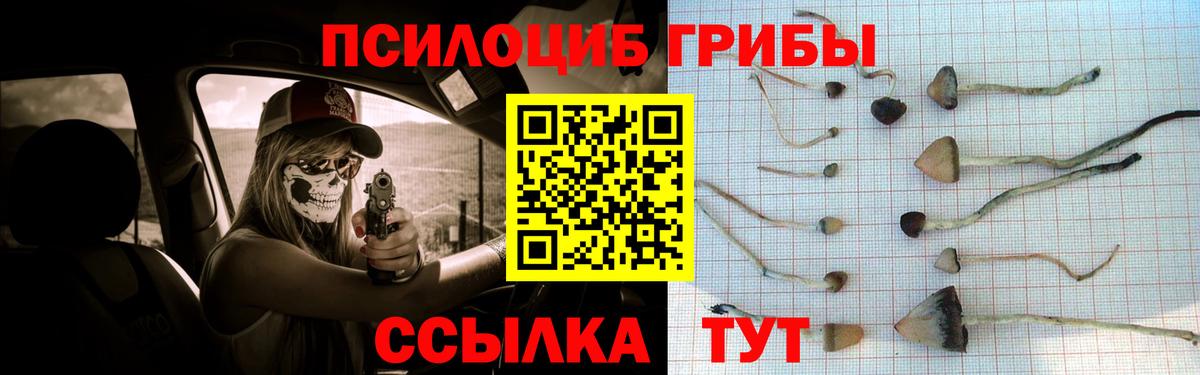 Галлюциногенные грибы ЛСД Ставрополь